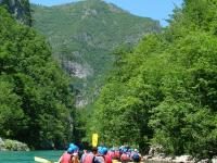 Raft Tara V04