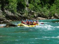 Raft Tara V06