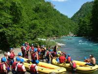 Raft Tara V15